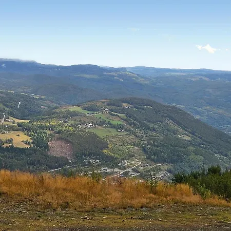 Casa vacanze In Gol With Sauna Holtegard